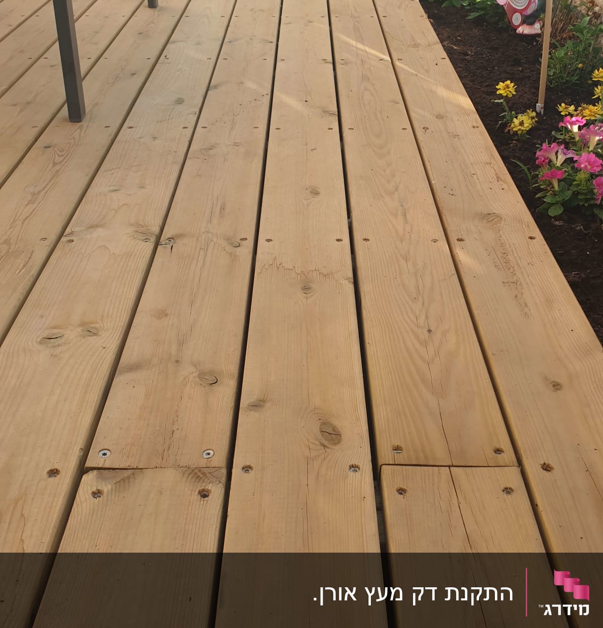 דק עץ עם פרחים צבעוניים בגינה